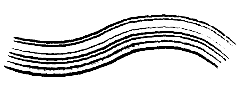 Trace de griffe noir